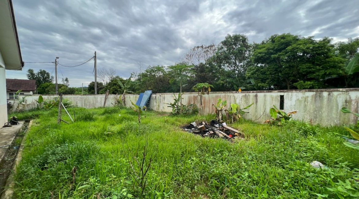 WhatsApp Image 2023-02-08 at 2.06.58 PM