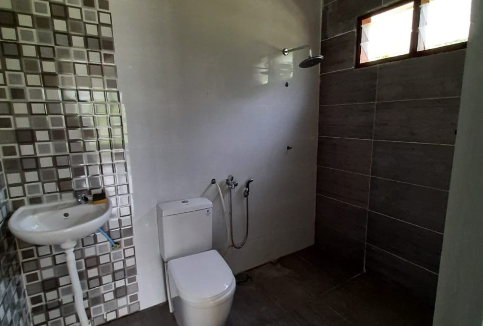 WhatsApp Image 2023-03-03 at 11.39.31 AM (1)