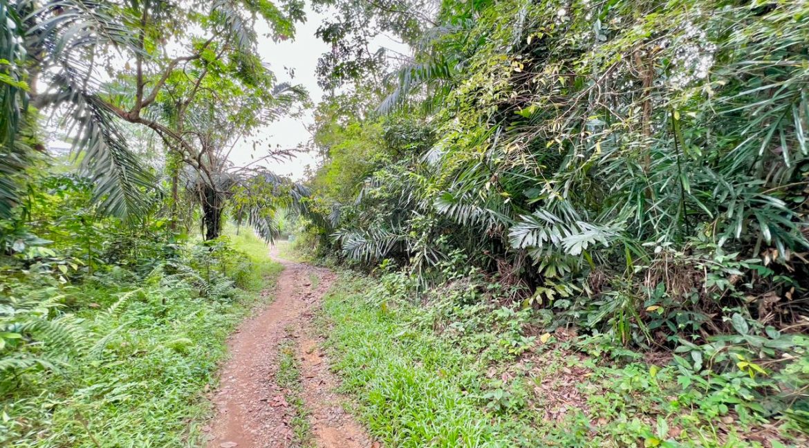 WhatsApp Image 2023-03-14 at 2.53.49 PM (1)