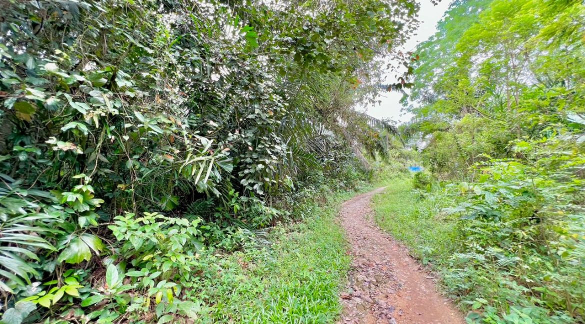 WhatsApp Image 2023-03-14 at 2.53.49 PM