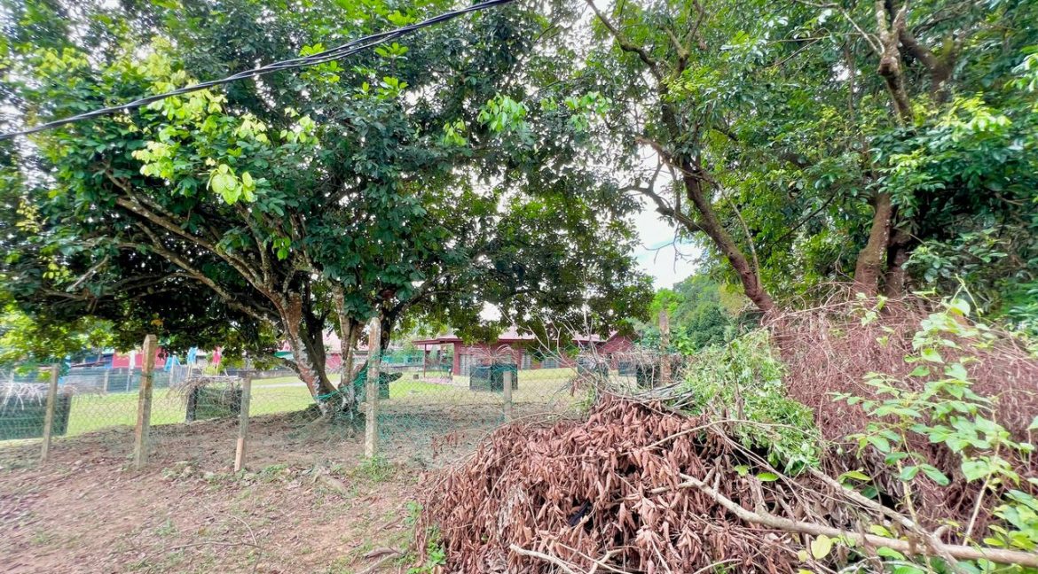 WhatsApp Image 2023-03-14 at 2.53.49 PM (2)