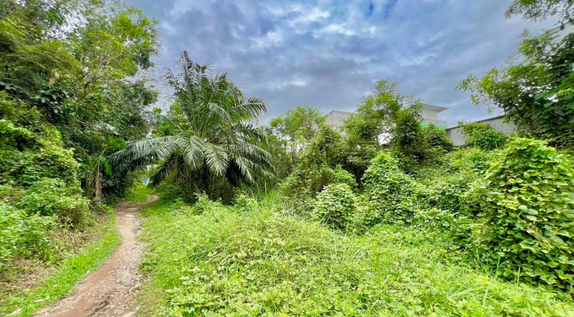 WhatsApp Image 2023-03-14 at 2.53.51 PM