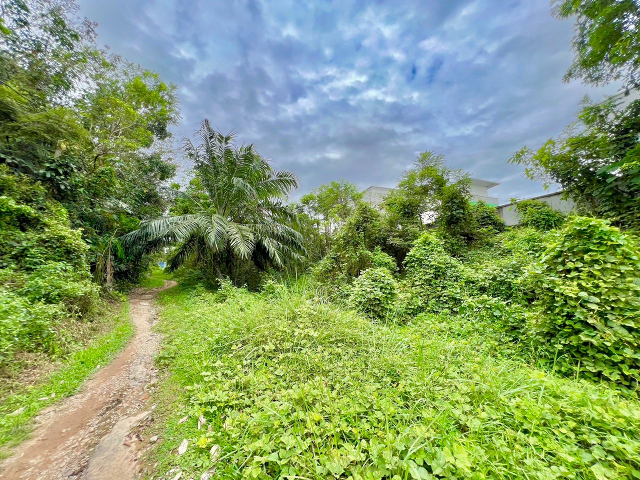 TANAH PERTANIAN UNTUK DIJUAL DI BERANANG HULU LANGAT SELANGOR