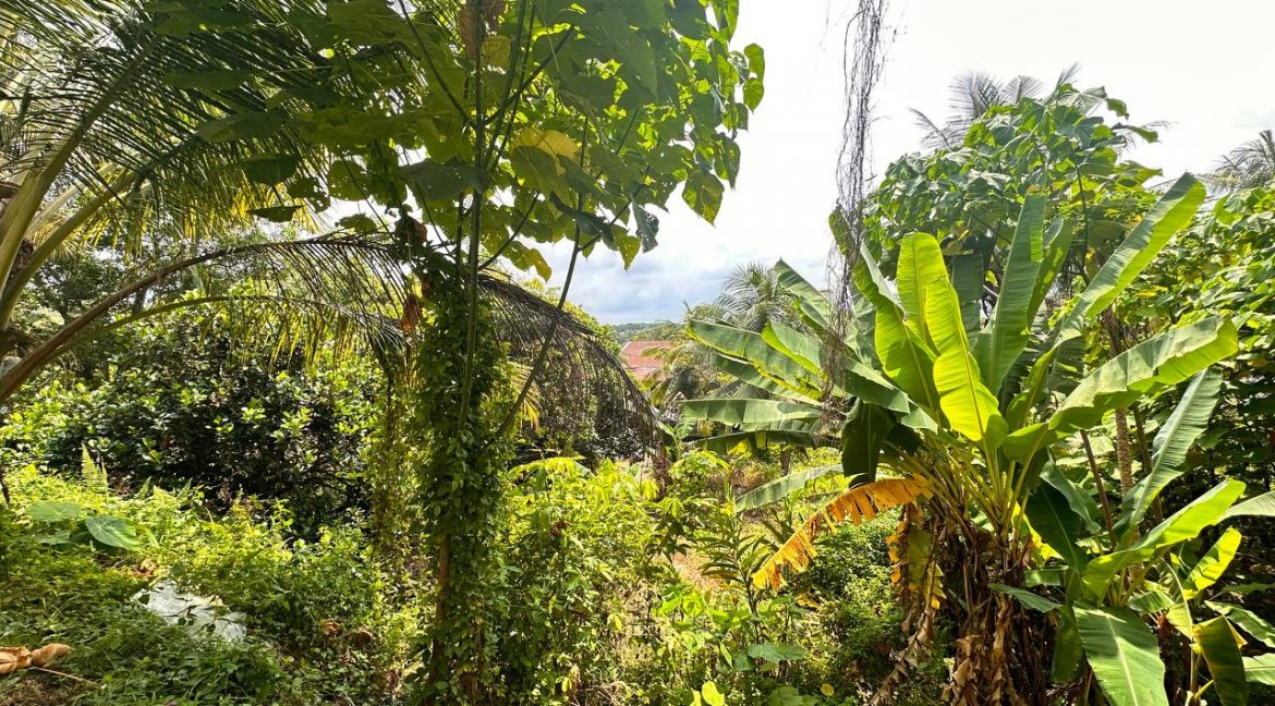 2023-06-02 11.43.53 (1)