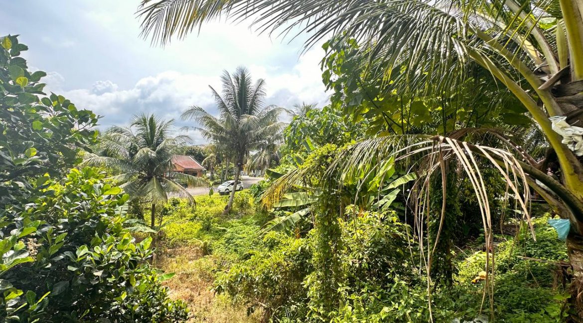 2023-06-02 11.44.06 (1)