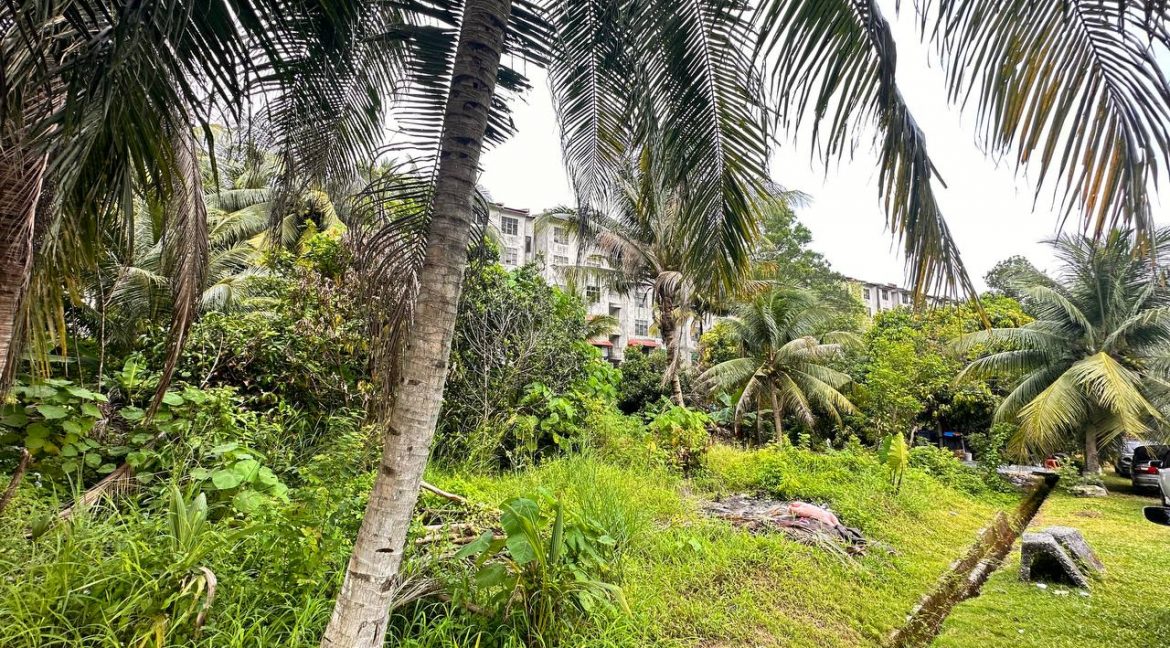 2023-06-02 11.44.17 (1)