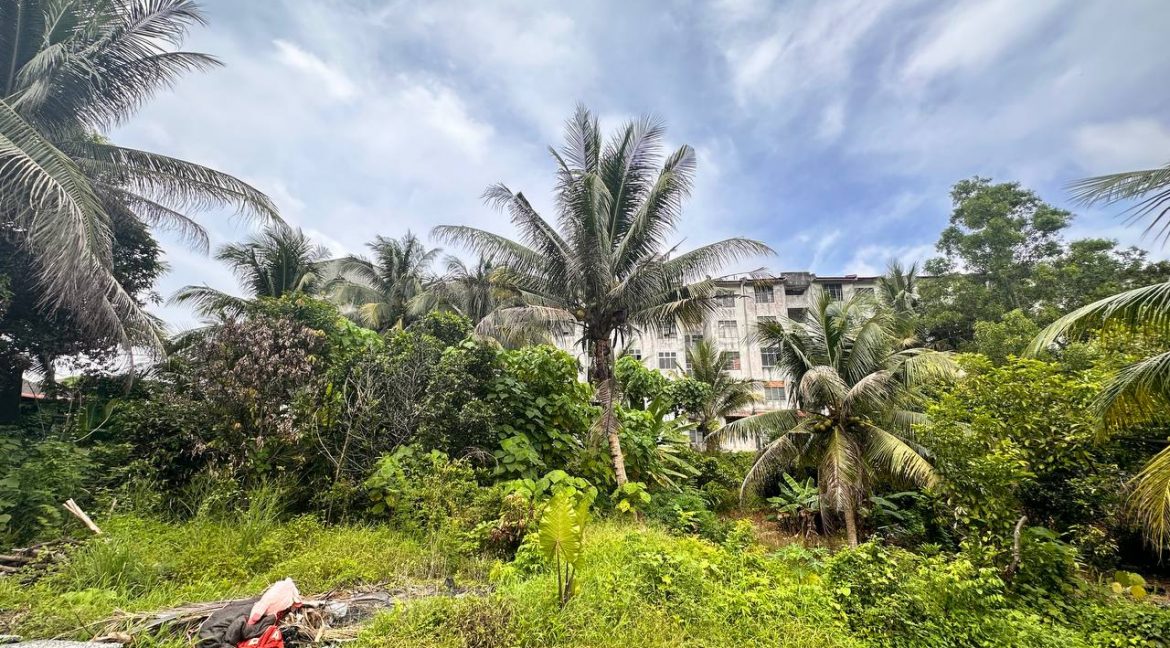 2023-06-02 11.45.22 (1)