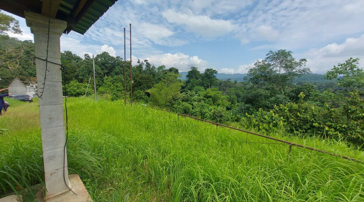 photo_2024-07-01_08-56-26