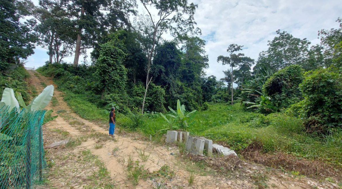 photo_2024-07-01_08-56-30