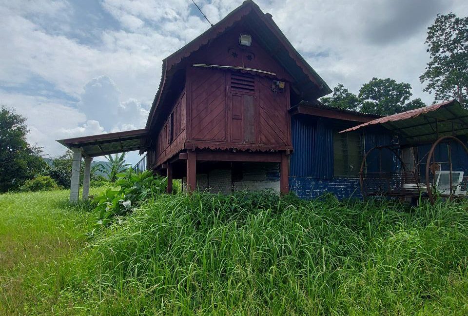 photo_2024-07-01_08-56-30 (2)