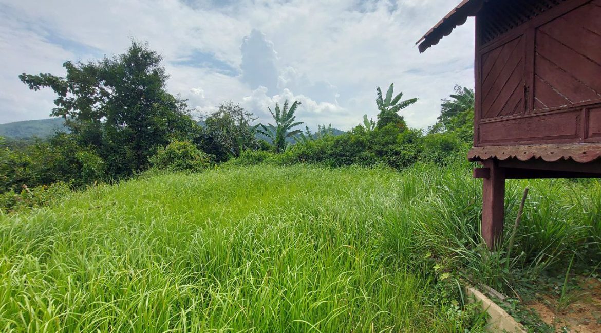 photo_2024-07-01_08-56-31