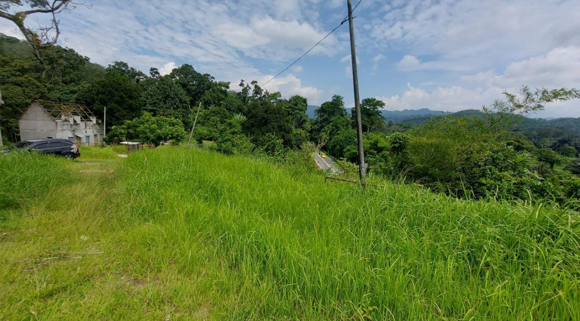 photo_2024-07-01_08-56-31 (2)