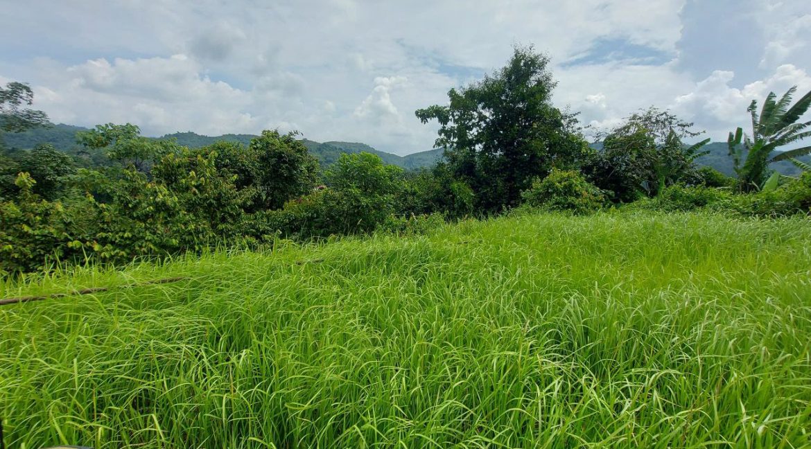 photo_2024-07-01_08-56-33