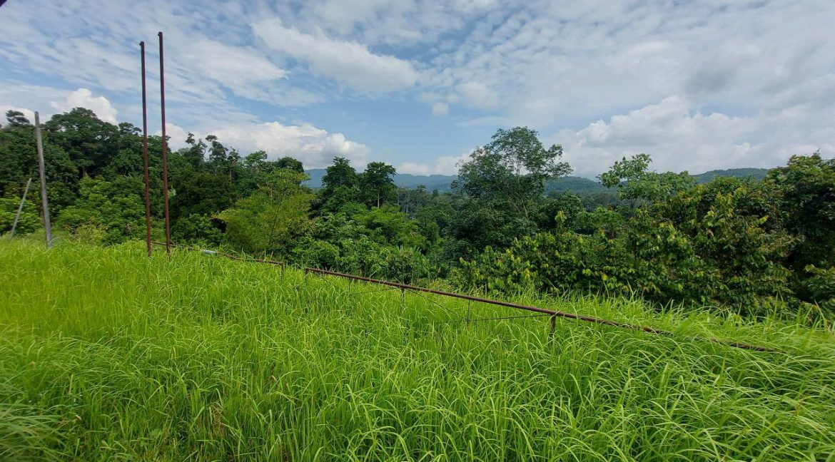 photo_2024-07-01_08-56-34