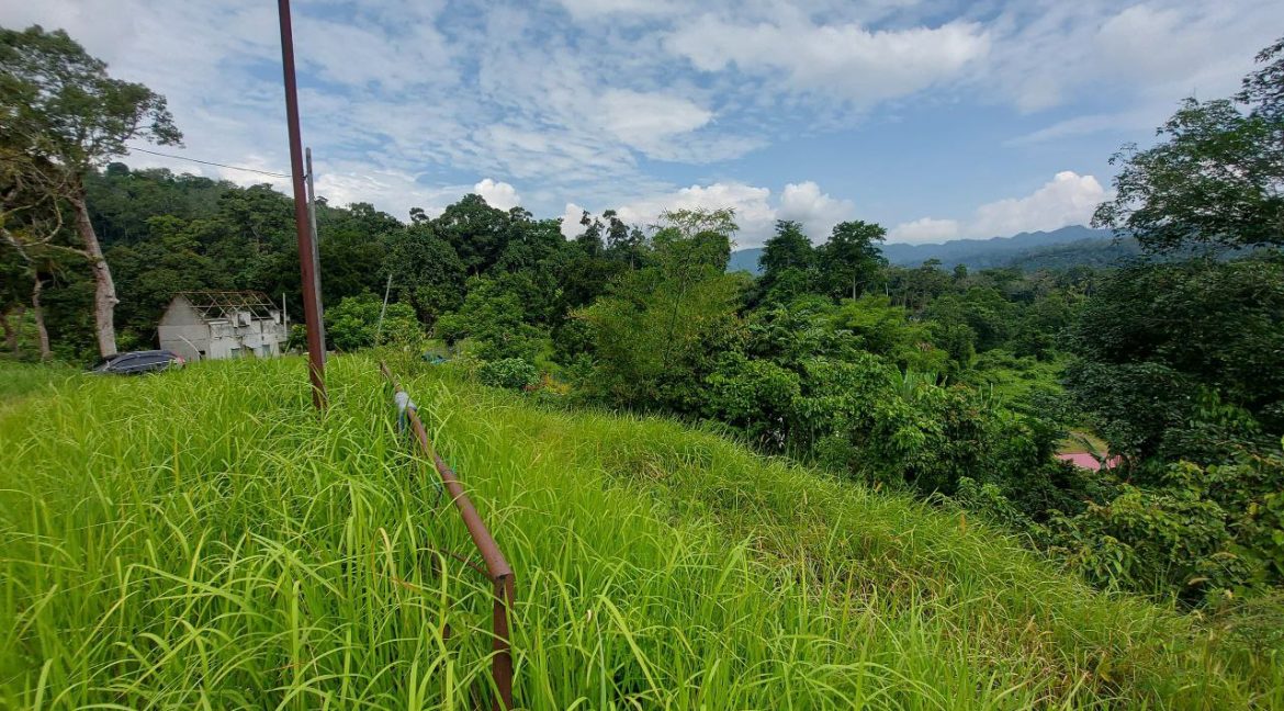 photo_2024-07-01_08-56-39