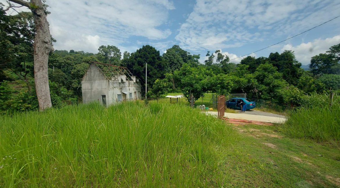 photo_2024-07-01_08-56-40