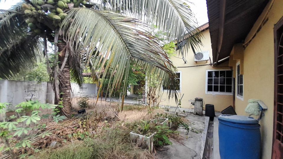 457563440_122094380240516421_7755278291952329213_n