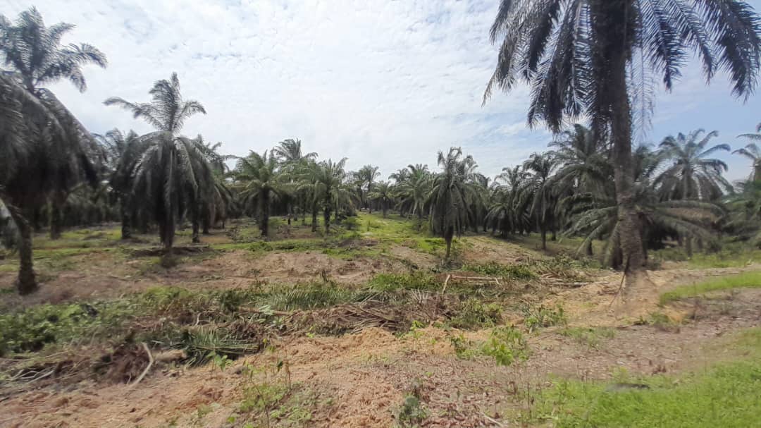 Tepi jalan dekat masjid tanah untuk di jual di gemas negeri sembilan