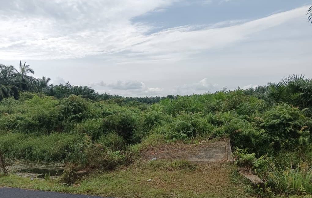 photo_2024-08-11_19-20-20