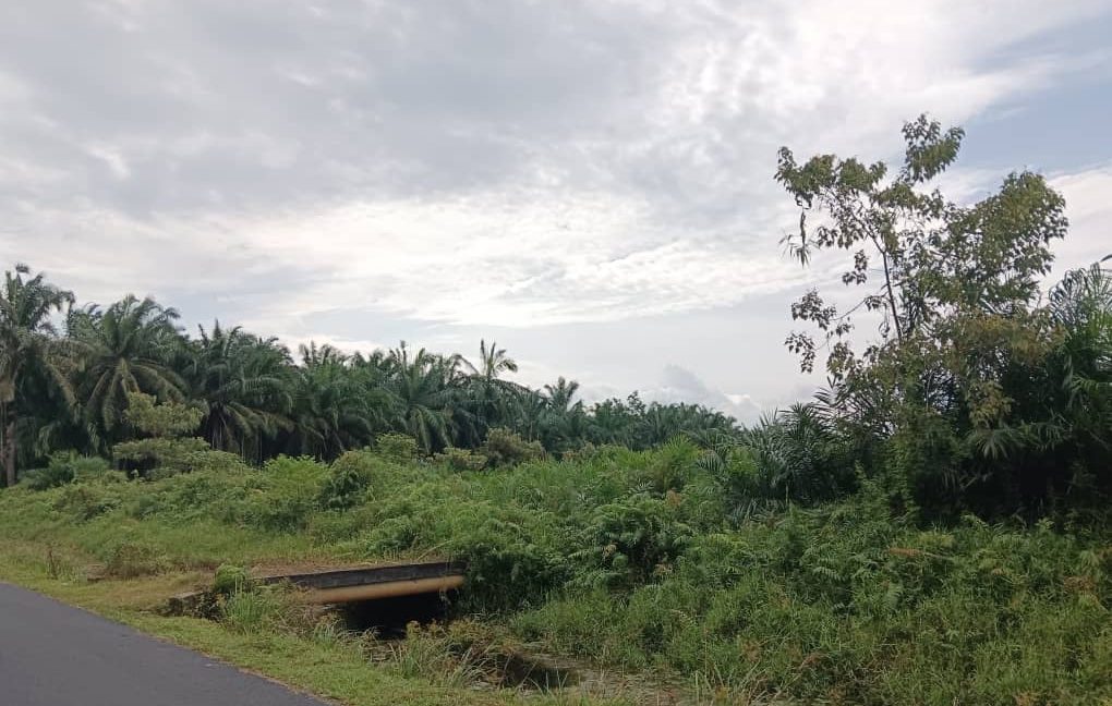 photo_2024-08-11_19-20-22