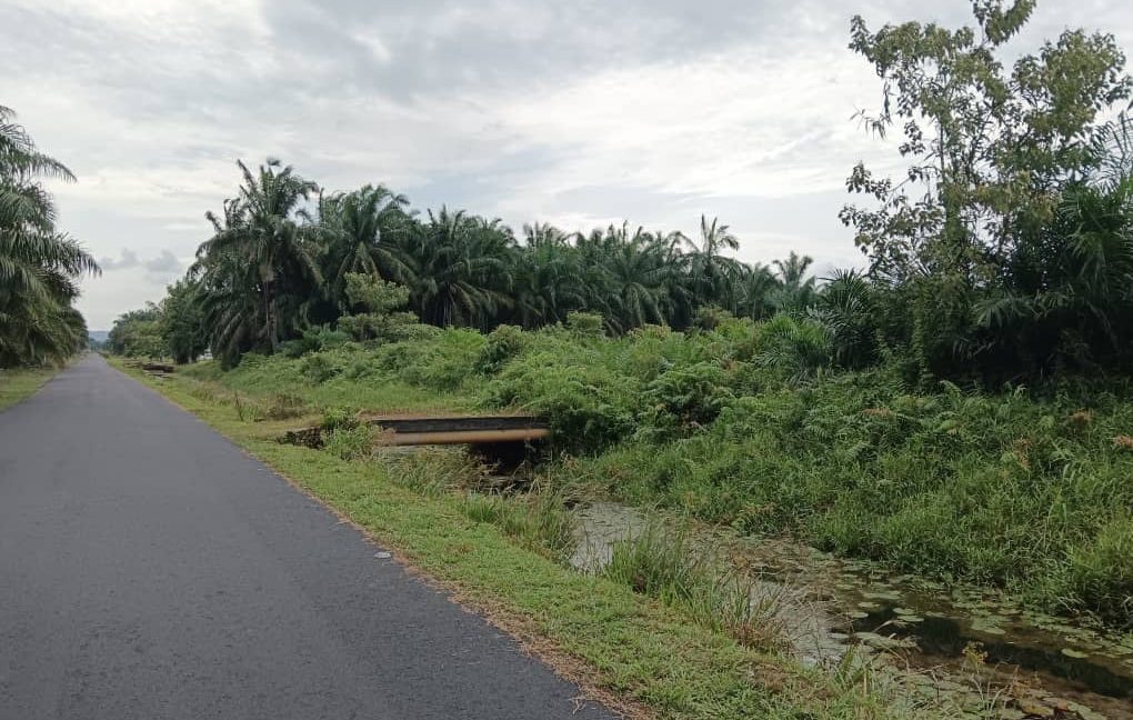 photo_2024-08-11_19-20-22 (2)