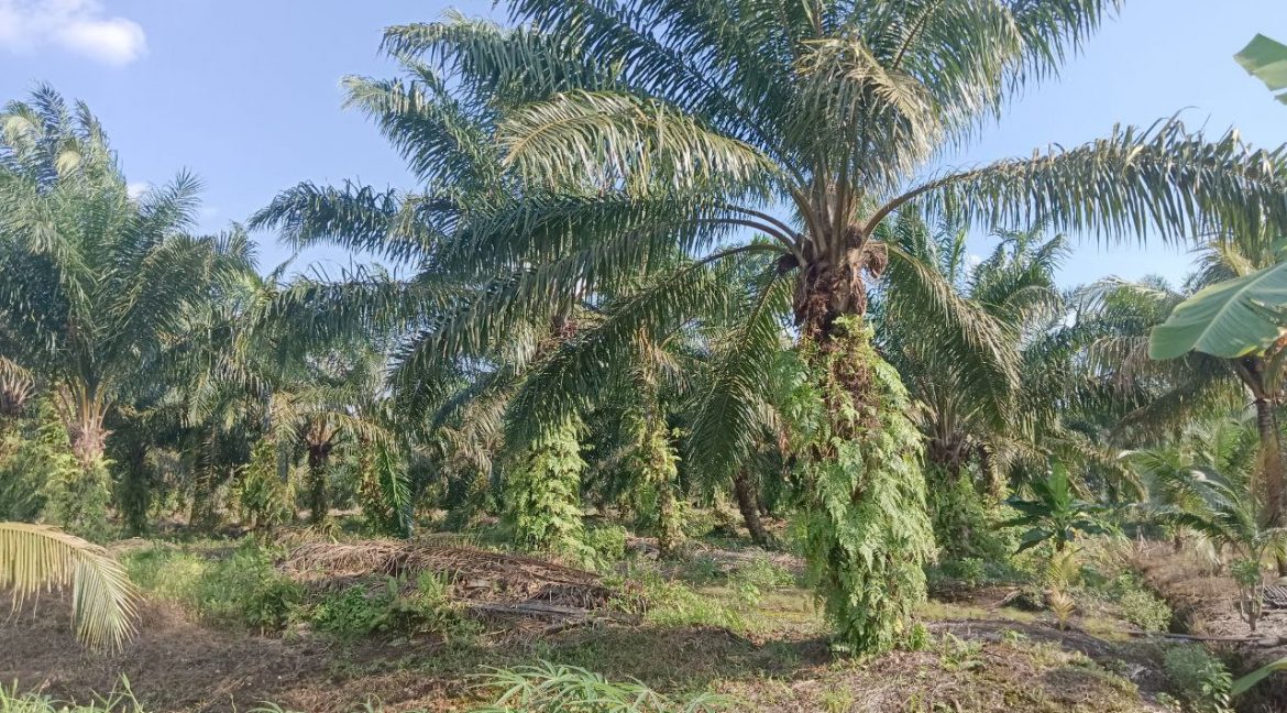 photo_2024-09-30_16-16-28