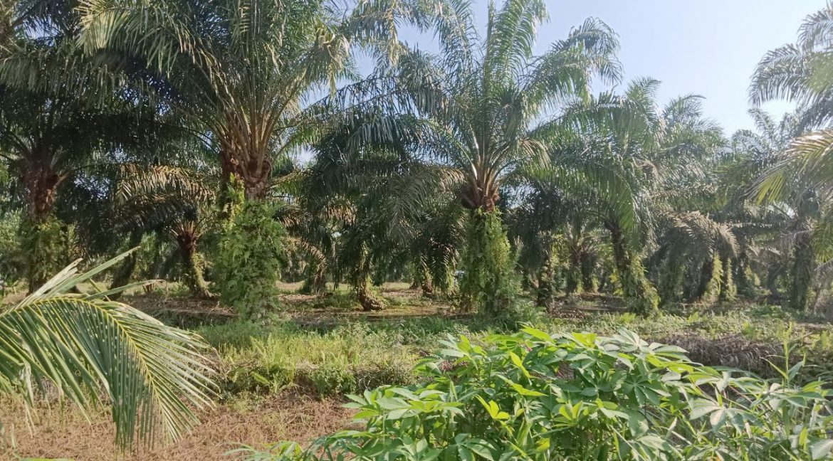 photo_2024-09-30_16-16-31 (2)