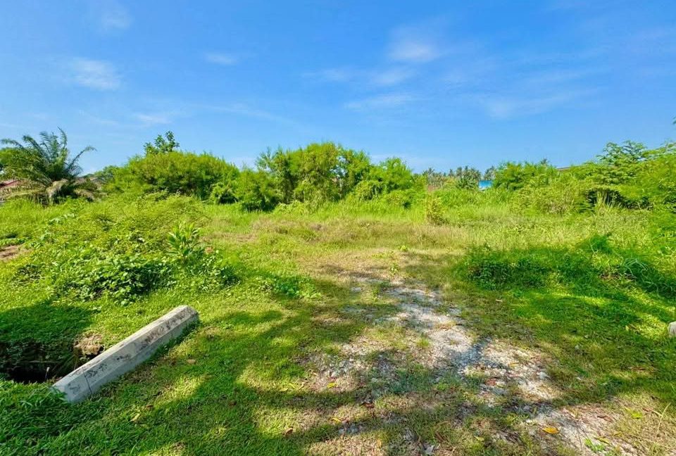 533245141_701529462900266_4882598240681530891_n